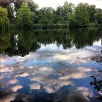 Reflection of Clouds