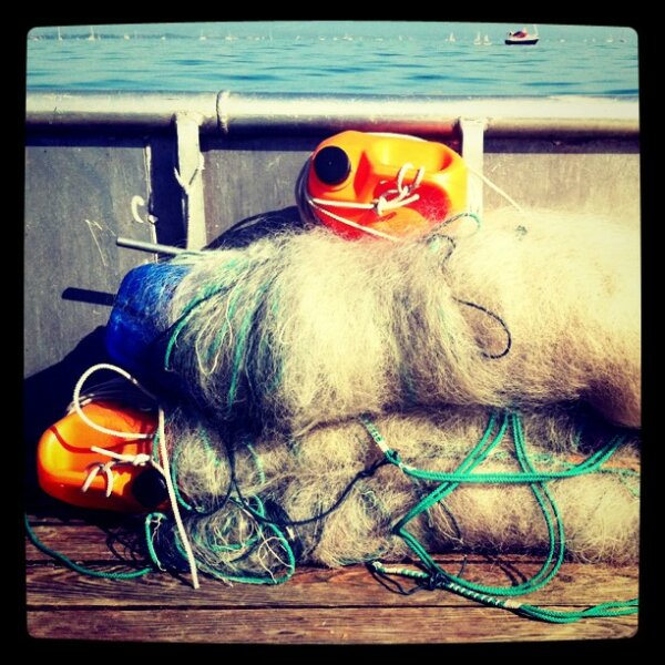 Fishers Net #lakeconstance